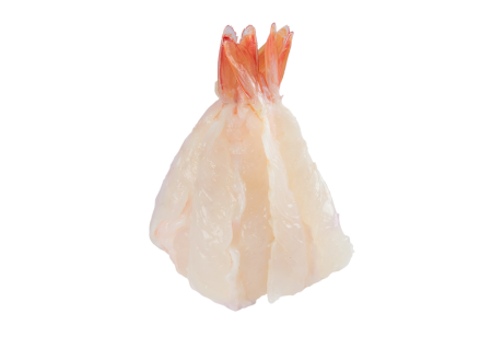 Glass Shrimp